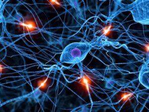 neuroplasticitate cabinet psihologie brasov