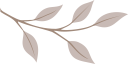 vlastar_128px