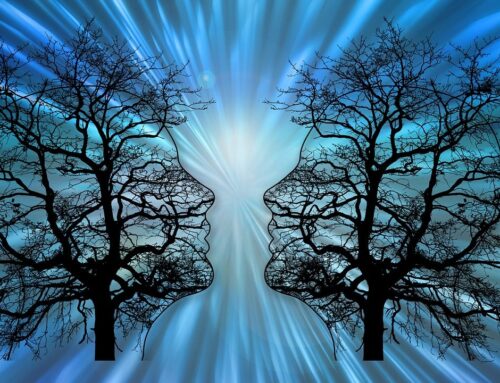 13.2. Cum să bagi depresia în depresie – James Withny